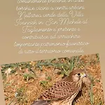 Bed & Breakfast Casa Di Chiara