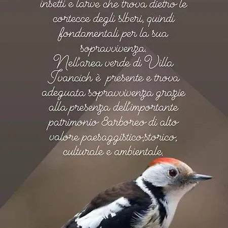 Nocleg ze śniadaniem Casa Di Chiara