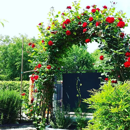 Nocleg ze śniadaniem Casa Di Chiara