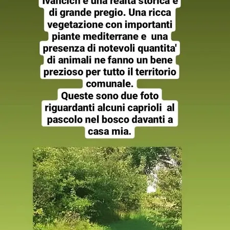 Casa Di Chiara Bed & Breakfast *
